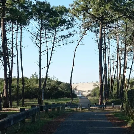 Apartment Duplex Entre Foret Et Ocean - Chez Alex & Max *