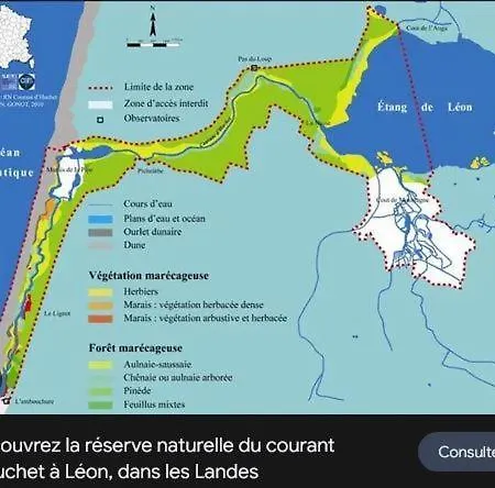 Duplex Entre Foret Et Ocean - Chez Alex & Max * Moliets-et-Maa